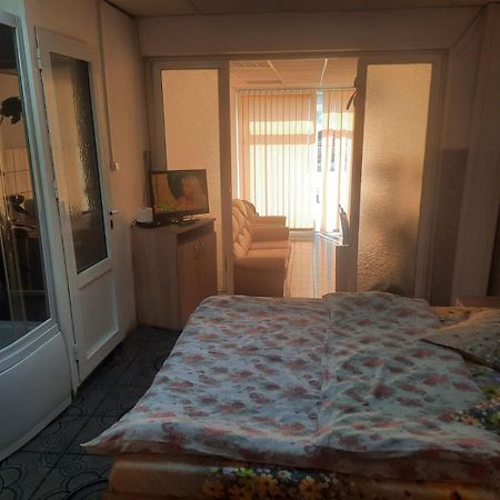 Garsoniera Del Dodo Apartment Alba Iulia Bagian luar foto